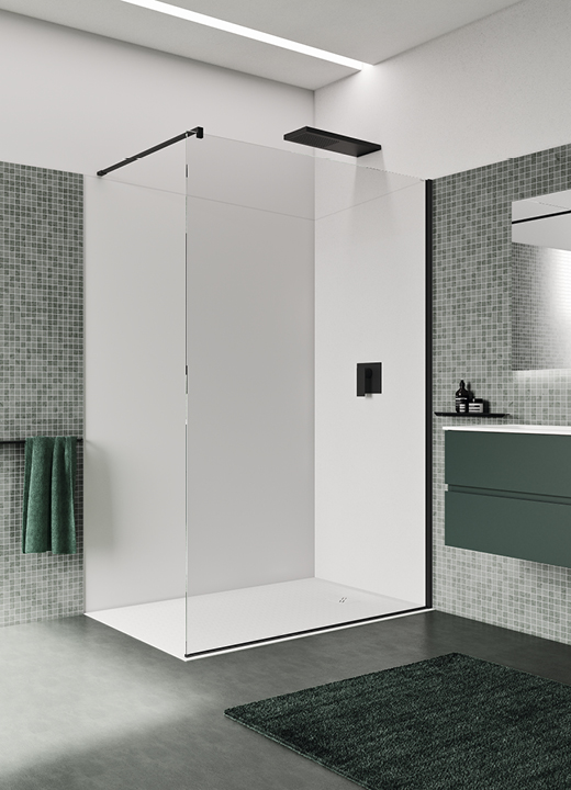 Wall A walk-in shower enclosure with support arm