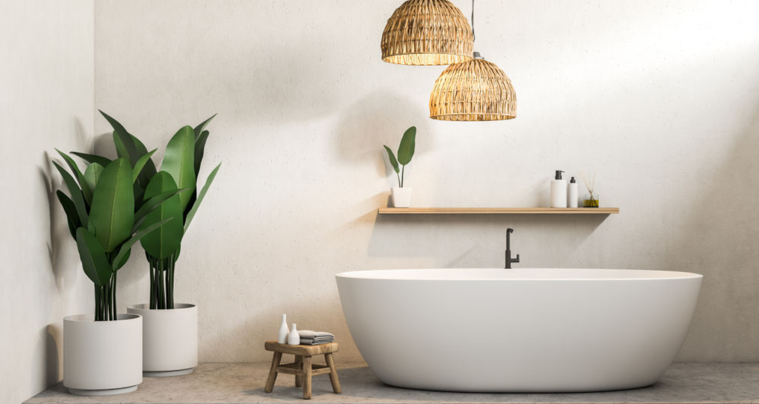 Which plants to choose to decorate the bathroom?